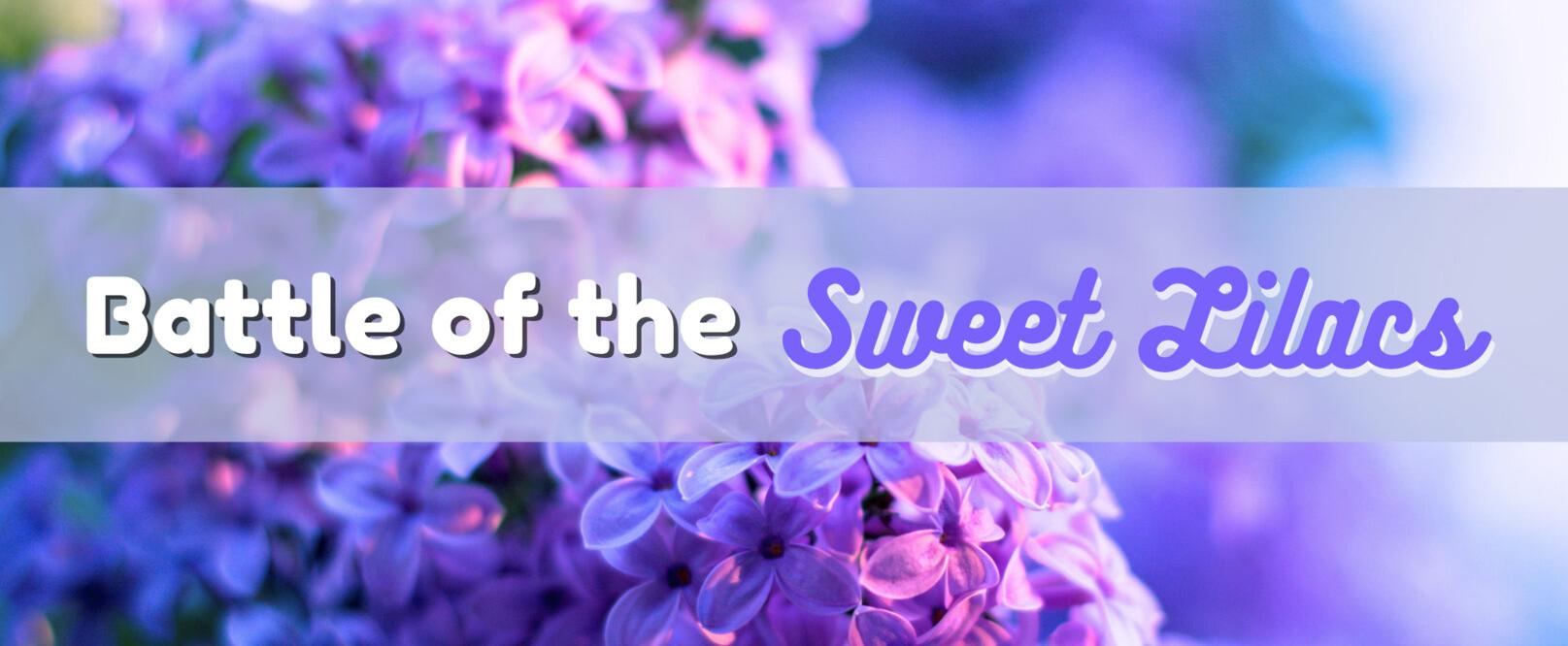 Battle of the Sweet Lilacs