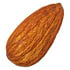 Roasted almond