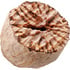 African nutmeg