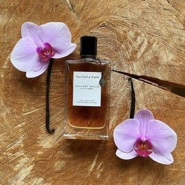 Orchidée Vanille - Van Cleef & Arpels