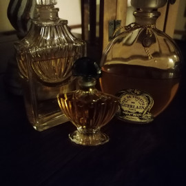 Aqva Agar - Venetian Master Perfumer / Lorenzo Dante Ferro