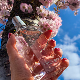 Fleurs de Cerisier / Cherry Blossom (Eau de Toilette) - L'Occitane en Provence