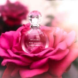Rose Goldea Blossom Delight (Eau de Parfum)