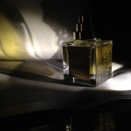 Collection Excessive - Oud Shamash - The Different Company