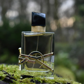 Libre (Eau de Parfum) - Yves Saint Laurent