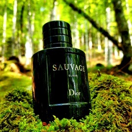 Sauvage Elixir - Dior