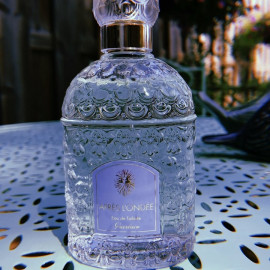 Frida - En Voyage Perfumes
