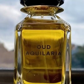 Oud Aquilaria - Omanluxury
