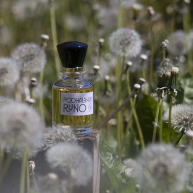 After the Rain (Perfume) - Solstice Scents