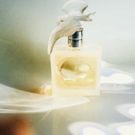 Donna Karan (Parfum) - DKNY / Donna Karan